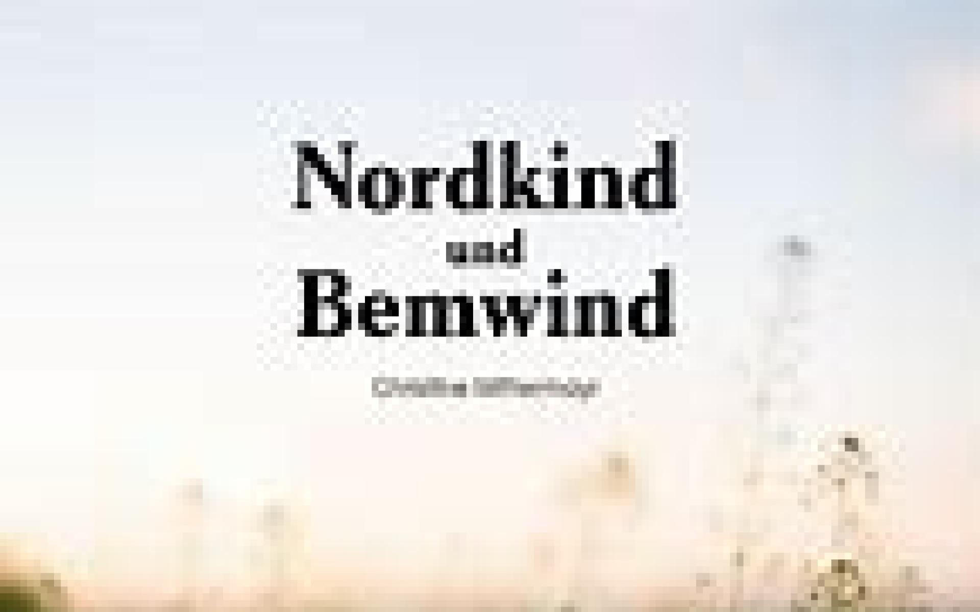 Buchcover Nordkind & Bemwind